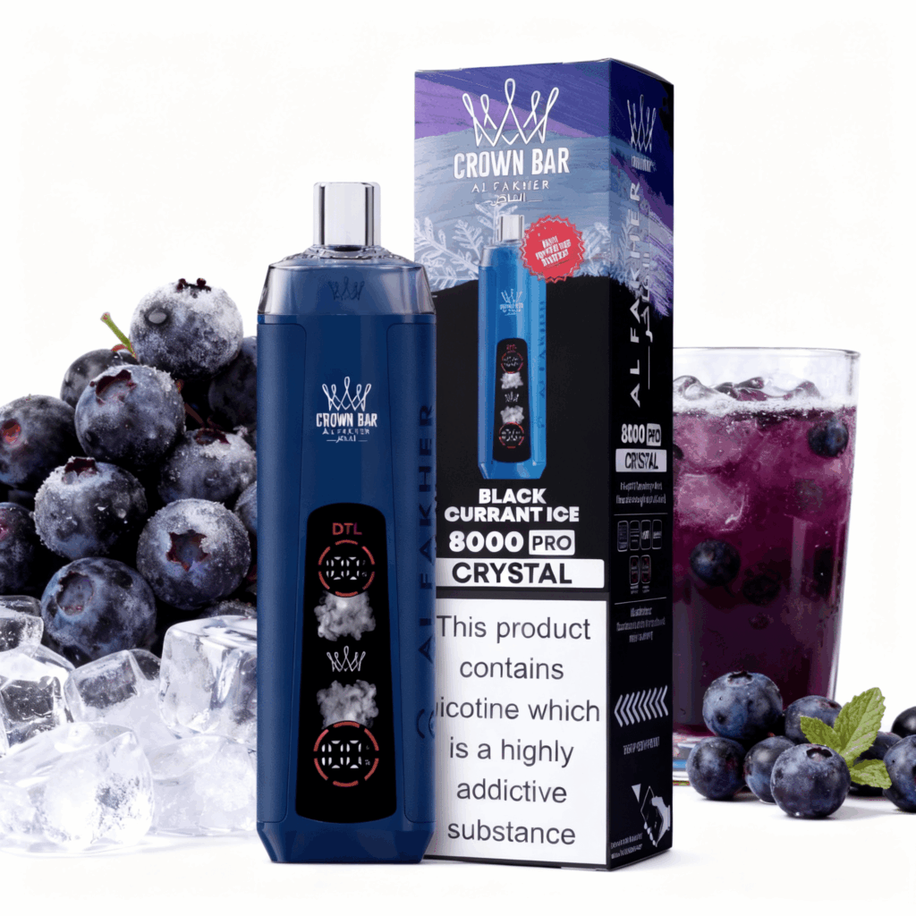 elfbar elfa master akku ELFBAR NC600 BLACKCURRANT Einweg e-Zigarette 20 mg/ml Nikotin 600 Züge